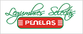 B24555856 - LEGUMBRES PENELAS SL