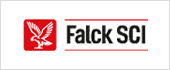 A46205431 - FALCK SCI SA