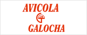 B49186257 - AVICOLA GALOCHA SL