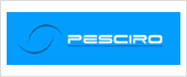 B62547534 - PESCIRO SL