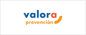 B97673453 - VALORA PREVENCION SL